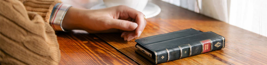 Twelve South Hoesjes BookBook